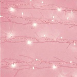 Meet your Posher, Paige